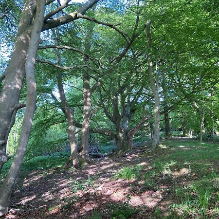 5 Charlton Mill Way B&B Chichester Bagian luar foto
