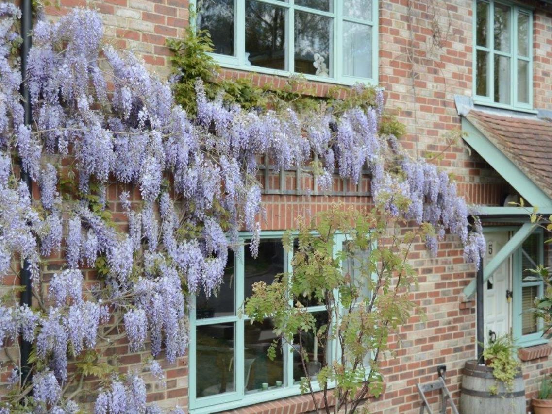 5 Charlton Mill Way B&B Chichester Bagian luar foto