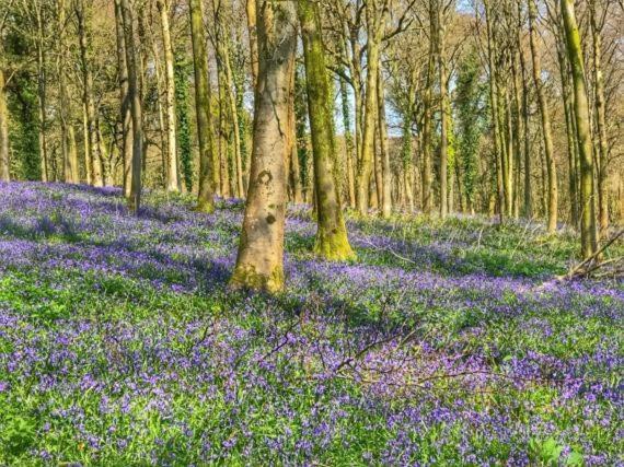 5 Charlton Mill Way B&B Chichester Bagian luar foto