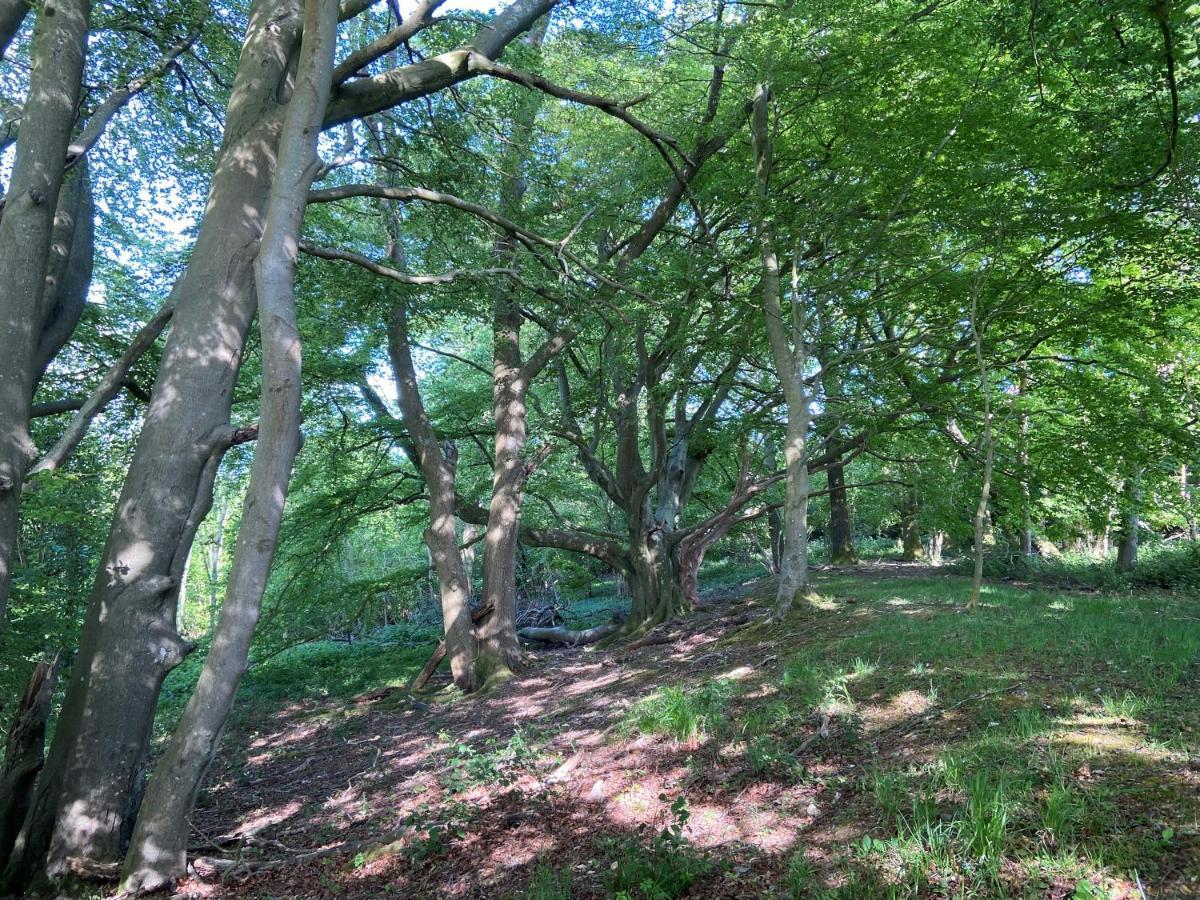 5 Charlton Mill Way B&B Chichester Bagian luar foto